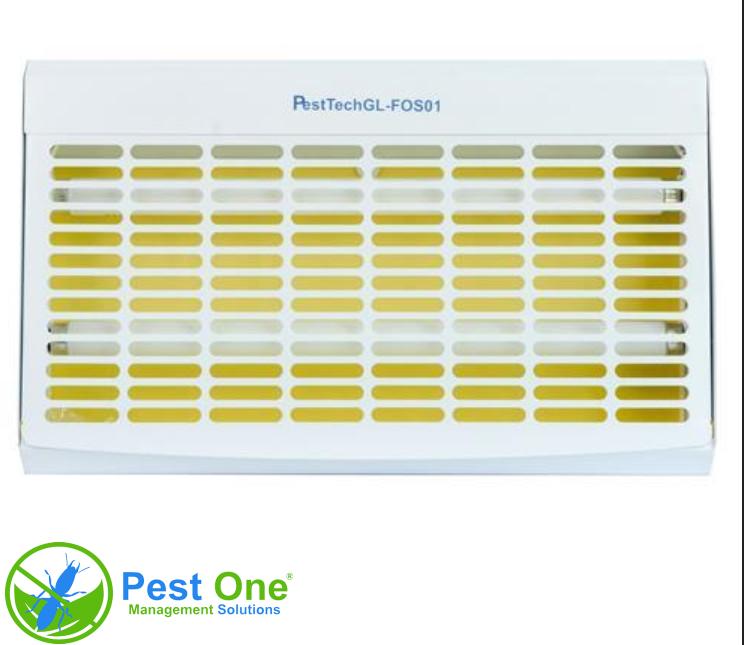 Keo đèn bẫy côn trùng 46x30cm màu vàng 2