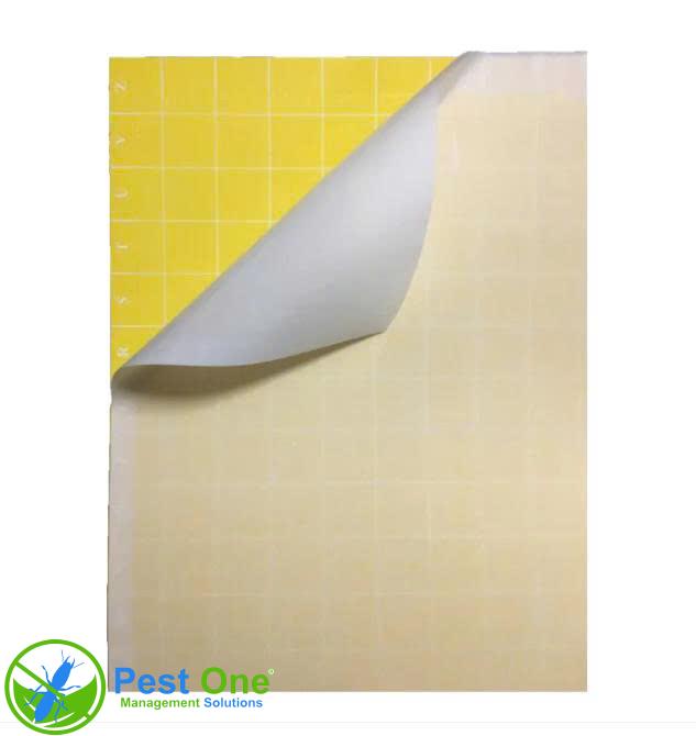 Keo đèn bẫy côn trùng 46x30cm màu vàng