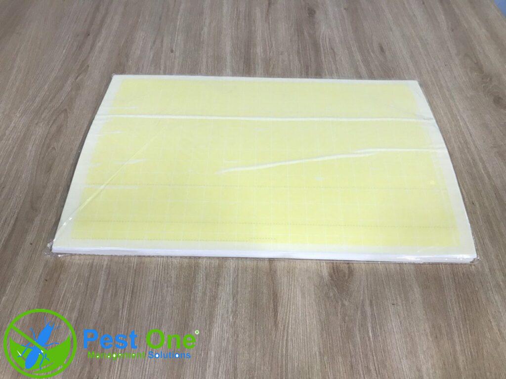 Keo đèn bẫy côn trùng 46x30cm màu vàng