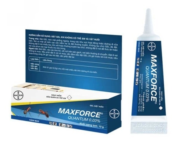 Dùng bả kiến chuyên dụng