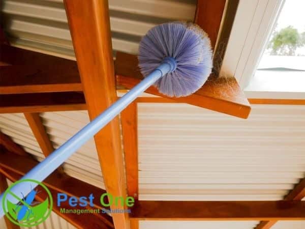 Nguyên tắc đuổi muỗi hiệu quả bạn cần biết